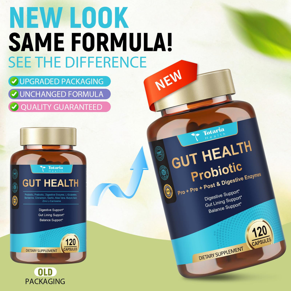 14-in-1 Gut Health with Probiotics, Prebiotics, Postbiotics & Digestive Enzymes for Women & Men, 60 Billion CFU Probiotics for Digestion, Strong Immunity, - FENGGESTORE20
