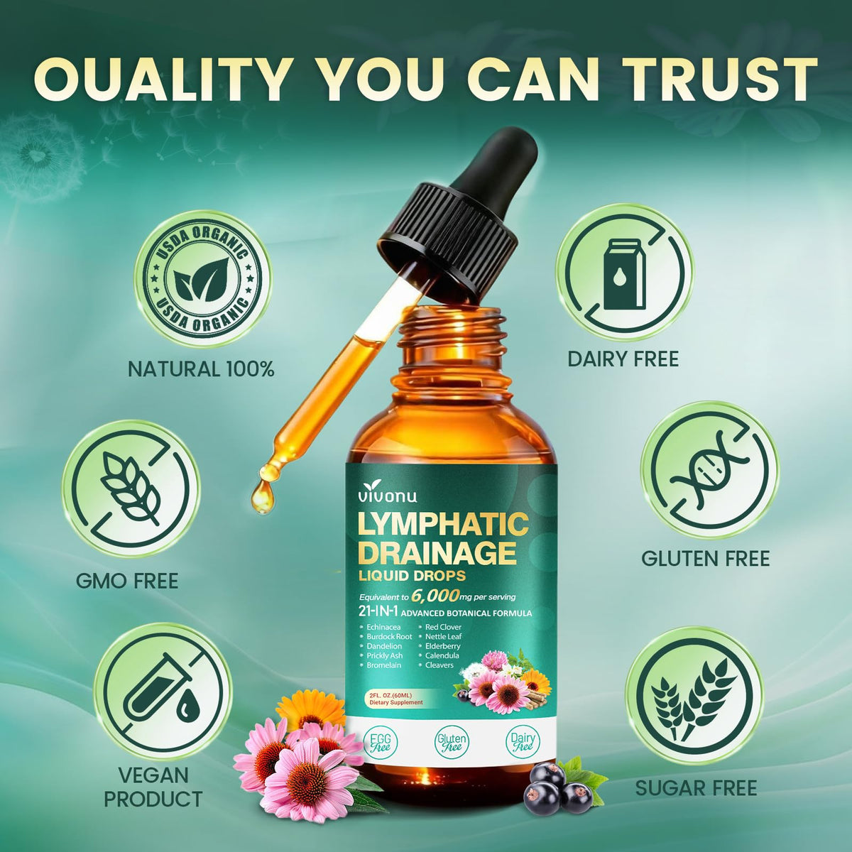 21-in-1 Lymphatic Drainage Drops for Liposomal, Immune & Lymph System Support Supplement for Women & Men with Echinacea, Dandelion, Burdock, Bromelain, Calendula, Turmeric & More, 2 FL OZ - FENGGESTORE20