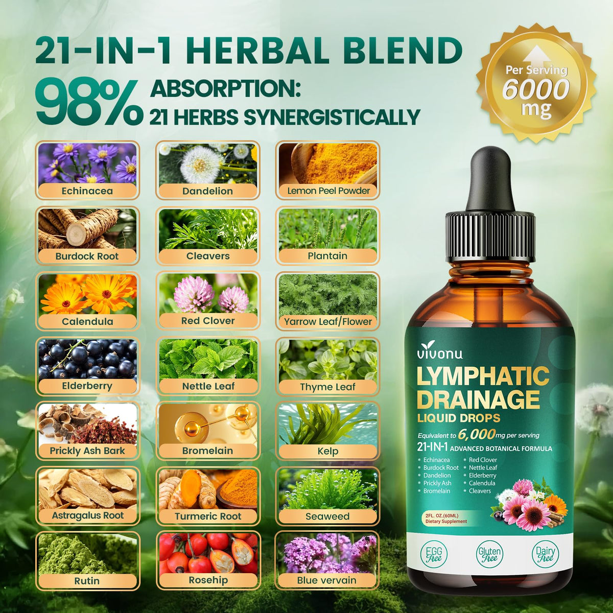 21-in-1 Lymphatic Drainage Drops for Liposomal, Immune & Lymph System Support Supplement for Women & Men with Echinacea, Dandelion, Burdock, Bromelain, Calendula, Turmeric & More, 2 FL OZ - FENGGESTORE20