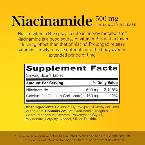 21st Century Niacinamide 500 mg Prolonged Release Tablets, 110 Count - FENGGESTORE20