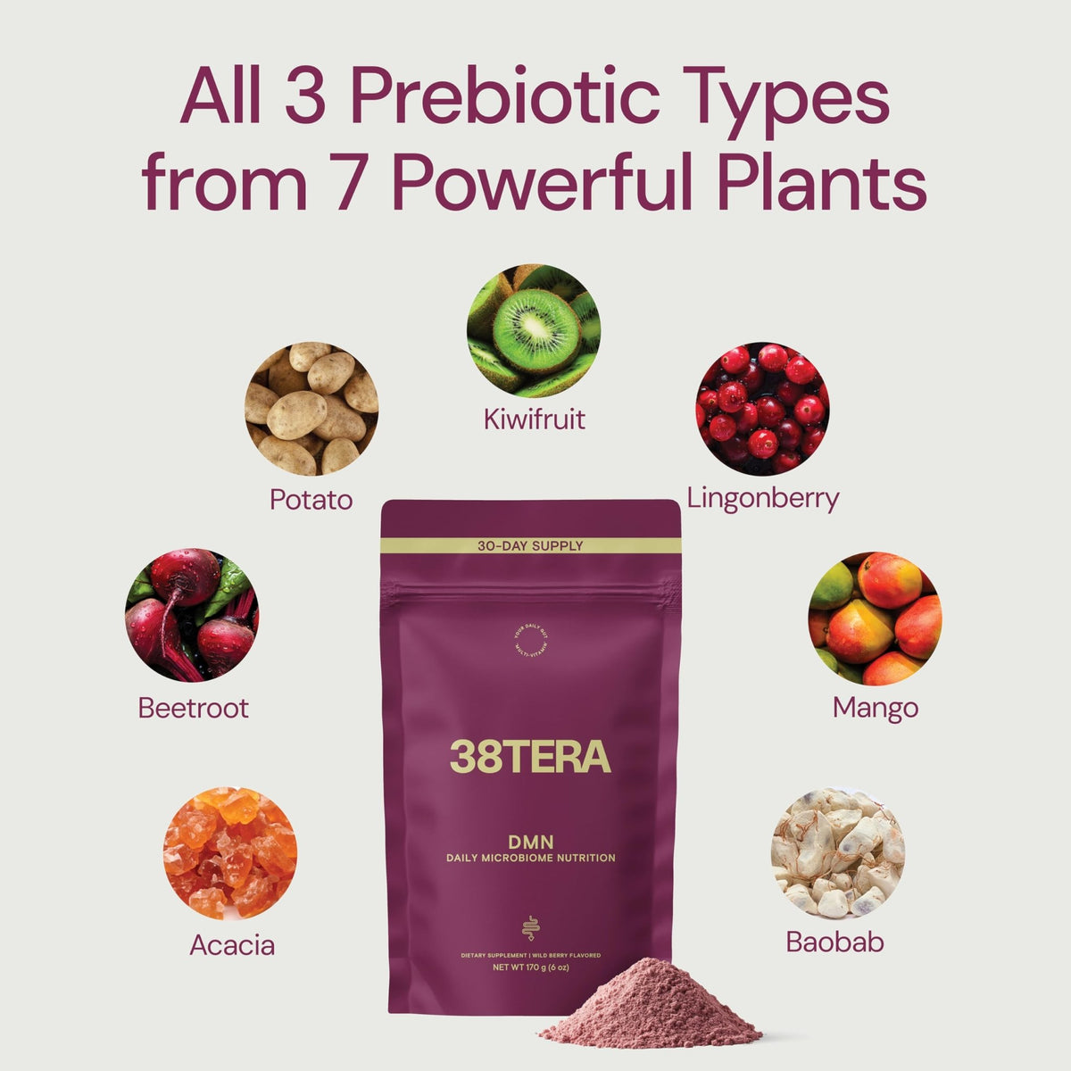 38TERA DMN (Daily Microbiome Nutrition), 6 Oz, Plant-Based Fiber Powder with 3 Different Prebiotics, Helps Digestive & Gut Health, Low FODMAP Supplement, Vegan, Wild Berry Flavor, 30 Servings - FENGGESTORE20