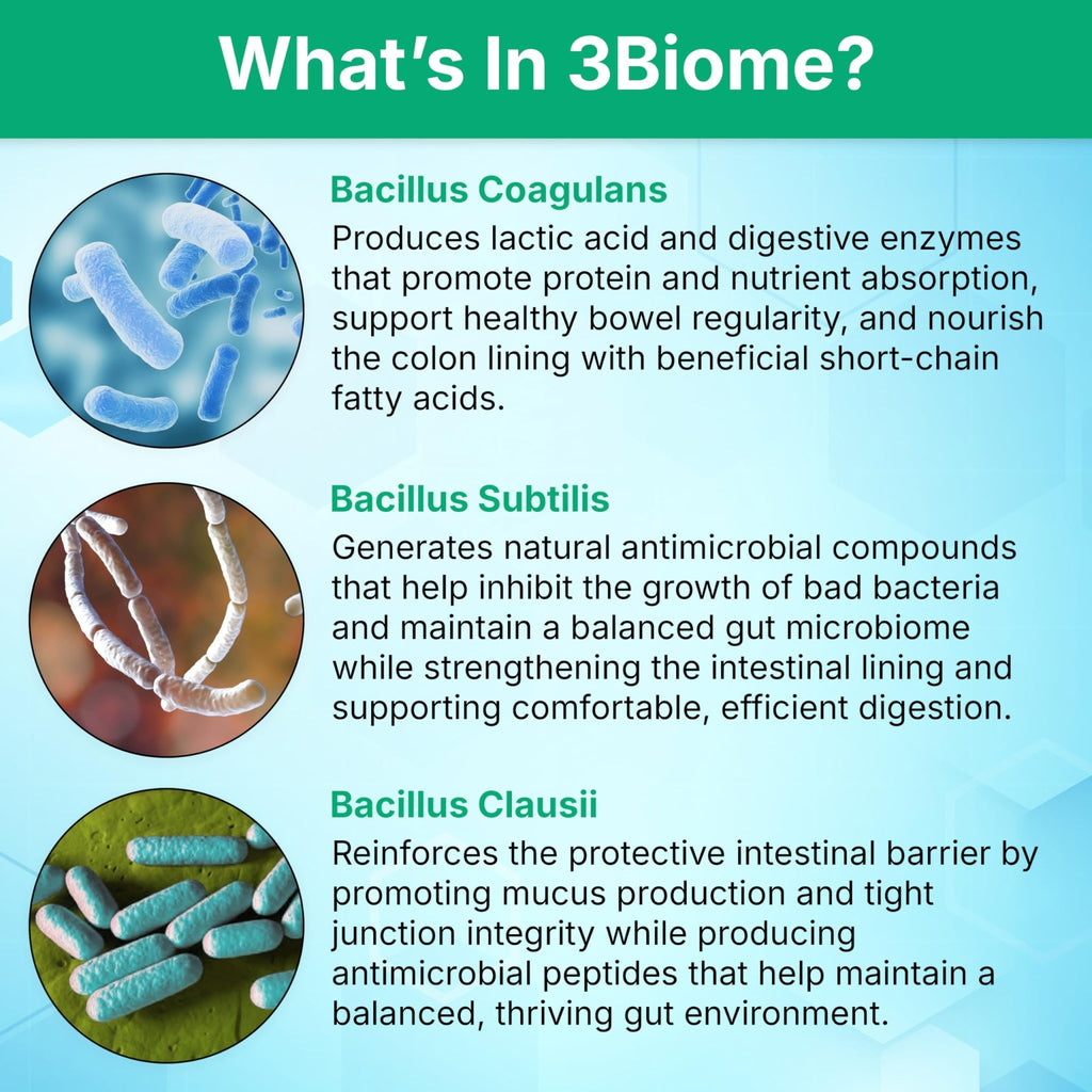 3Biome - Natural Probiotic Supplement - Non-GMO, Vegan, Gluten-Free - FENGGESTORE20