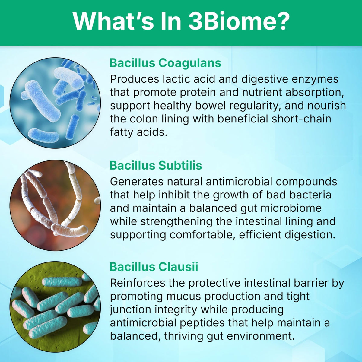 3Biome - Natural Probiotic Supplement - Non-GMO, Vegan, Gluten-Free - FENGGESTORE20