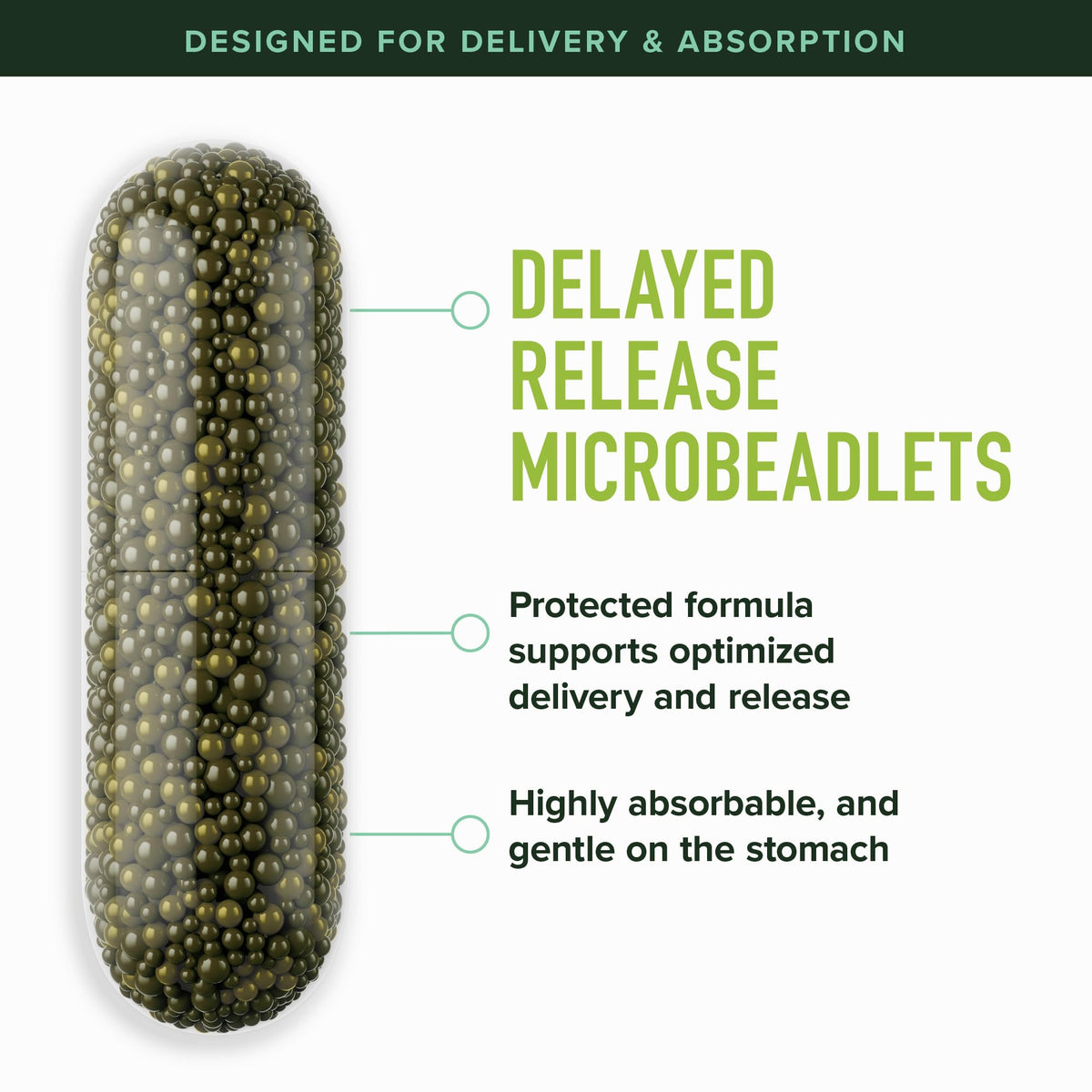 50MG Sulforaphane Supplement from Broccoli Sprouts | NRF2 Activation, Cellular Health & Immune Support | Glucoraphanin, Myrosinase & Antioxidants | Third-Party Tested - FENGGESTORE20