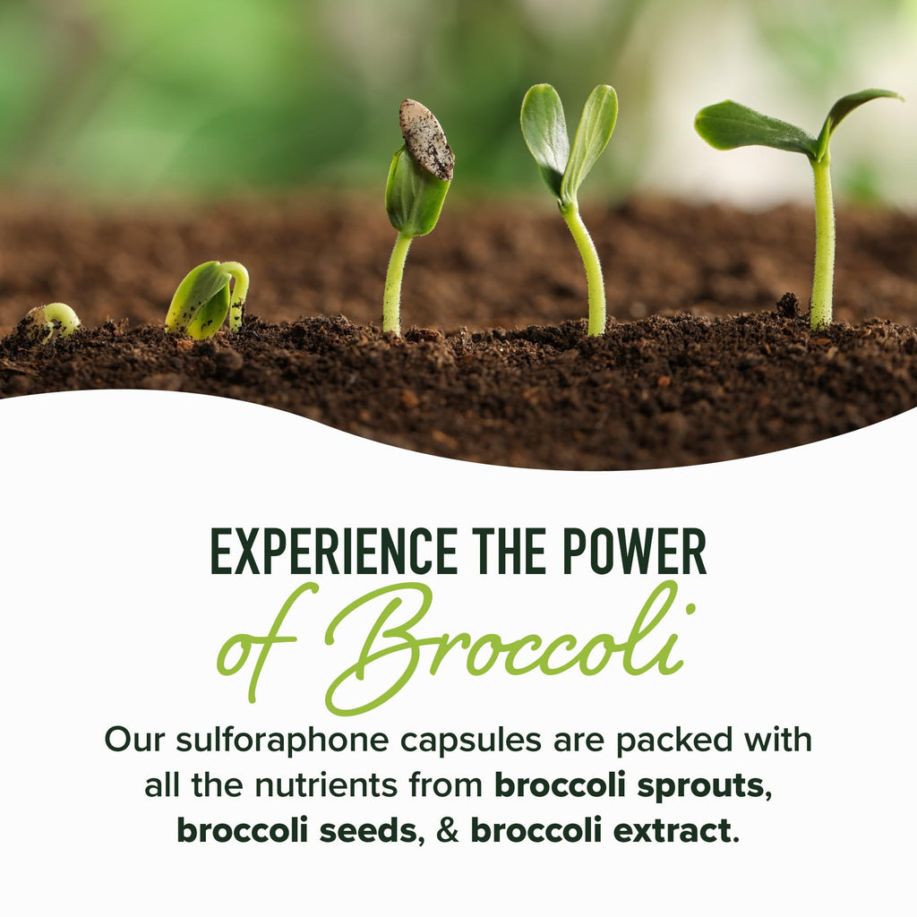 50MG Sulforaphane Supplement from Broccoli Sprouts | NRF2 Activation, Cellular Health & Immune Support | Glucoraphanin, Myrosinase & Antioxidants | Third-Party Tested - FENGGESTORE20