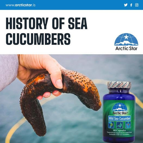 Arctic Star - Sea Cucumber Capsules - Natural Pure Iceland Atlantic Wild Caught Sea Cucumber Extract Supplement Pills - Joint Health t & Immune Health 400mg 80 Capsules/Bottle –北极星海参胶囊 Arctic StarBuy Supplements Australia