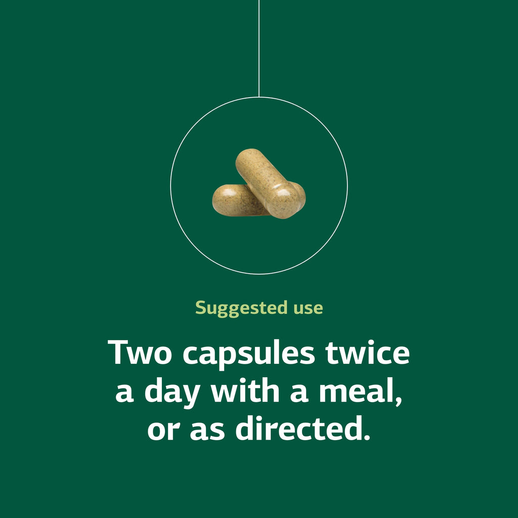 Standard Process Diaplex - Supplement for Pancreas & Gallbladder Support - Contains Chromium & Antioxidant Vitamin A