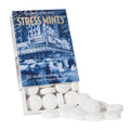 Historical Remedies Stress Mints (1 Pack) | Homeopathic Lozenges to Aid Stress & Digestion, Organic Peppermint Flavor, Vegan & Gluten-Free, Non-Habit Forming