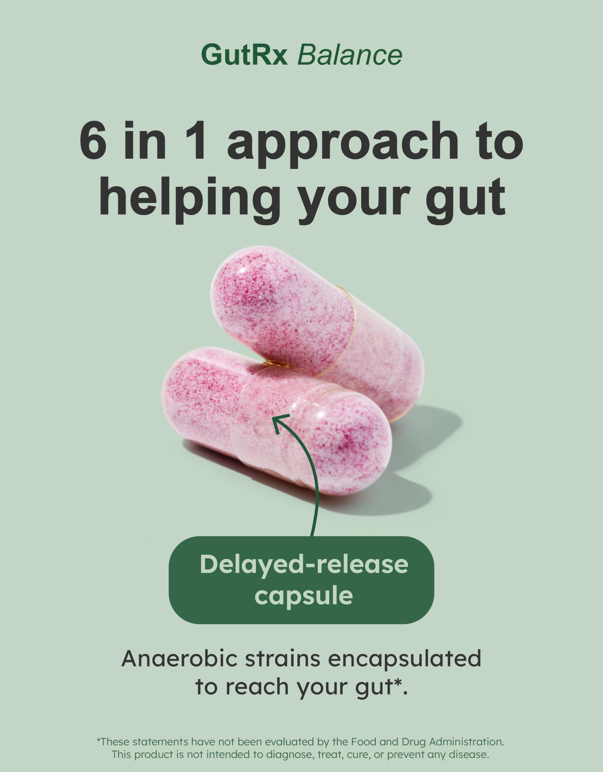 GutRx Balance – Probiotics for Women & Men with Akkermansia Probiotic & Christensenella, Alternative for Gut Health with Lactobacillus Plantarum,