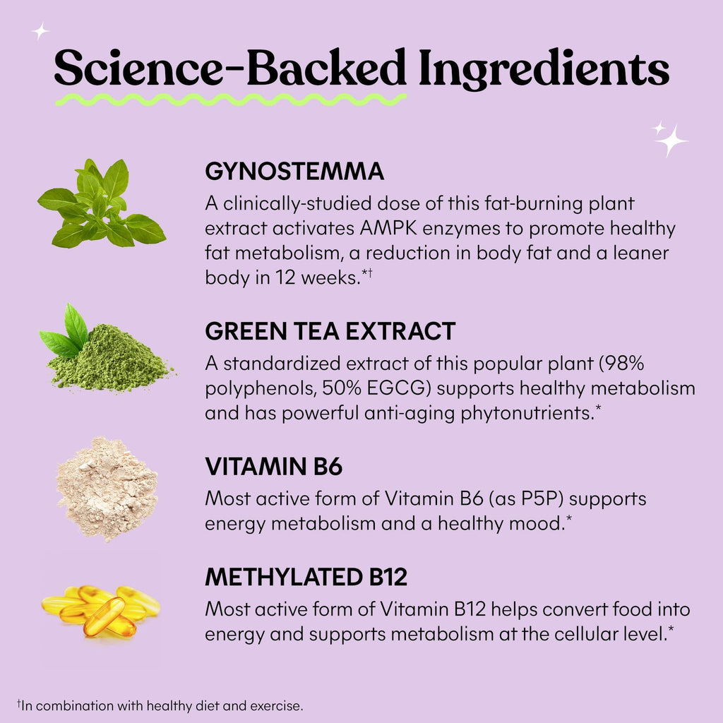 Lemme Burn - Metabolism, Belly Fat Burning + AMPK Activating Supplement for Men & Women w/Clinically Studied Actiponin Gynostemma, Green Tea Extract