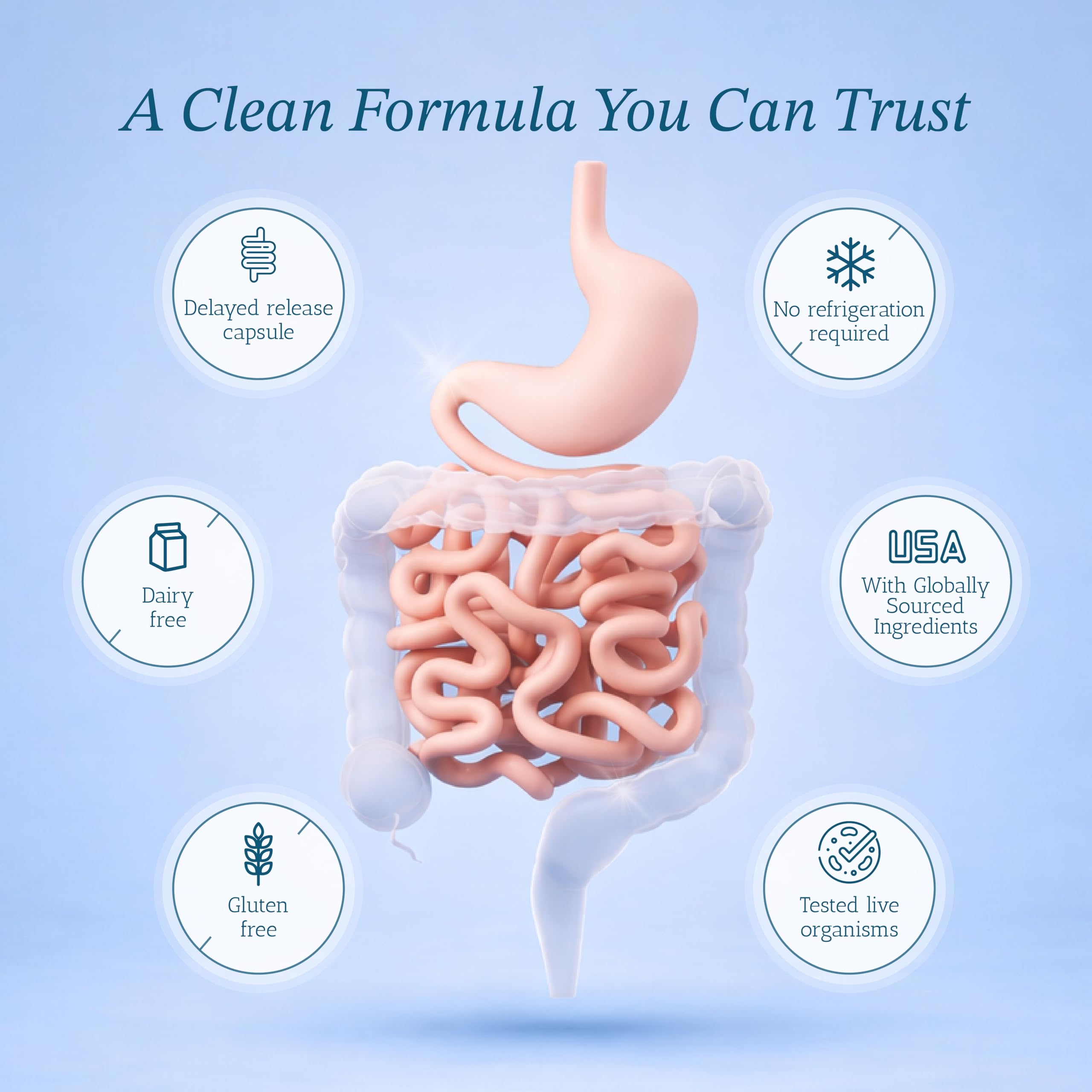 Vitamin Bounty Pro-50 Probiotic 50 Billion CFU - 13 Strain Supplement for Men & Women + Prebiotics - Digestive Health & Gut Support - Lactobacillus & Bifidobacterium - Delayed Release Capsules, 2 Pack
