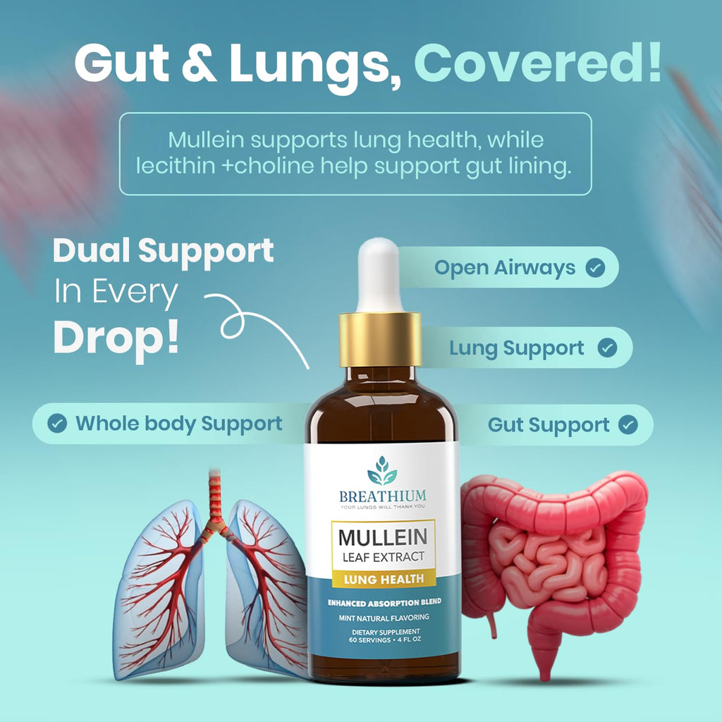 BREATHIUM 4-in-1 Mullein Drops for Lungs & Gut Health – Liposomal Mullein Leaf Extract, Made in USA, Natural Lung Detox for Smokers + Immune, Digestive