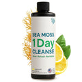 Atlantic Naturals - 1 Day Colon Cleanse Full Body Detox Drink - Sea Moss Supplement for Women & Men, Gut Health, Kidney & Liver Immune Energy Enhancer
