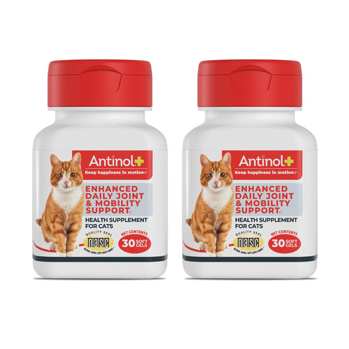 Antinol Plus, Mobility, Hip, and Joint Supplement for Cats, Green-Lipped Mussels and Krill Oil - Cat Joint Supplement, 60 Soft Gels AntinolBuy Supplements Australia