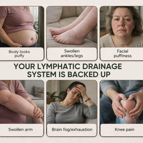 Aacnre Lymphaire Lymphatic Drainage Drops, Herbal Fluid Balance Support, Lymphatic System Support, Immune System & General Wellness, Vegan & Non-GMO, 2 Fl Oz (1) Aacnre buy supplements Au