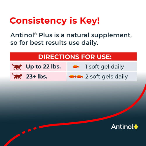 Antinol Plus, Mobility, Hip, and Joint Supplement for Cats, Green-Lipped Mussels and Krill Oil - Cat Joint Supplement, 60 Soft Gels AntinolBuy Supplements Australia