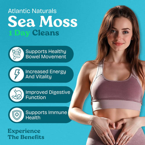Atlantic Naturals - 1 Day Colon Cleanse Full Body Detox Drink - Sea Moss Supplement for Women & Men, Gut Health, Kidney & Liver Immune Energy Enhancer