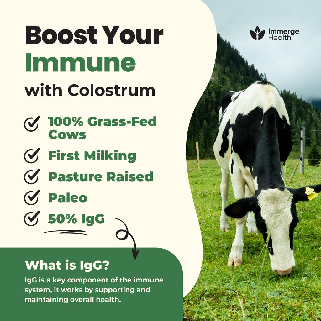 Immerge Health Super Colostrum Powder (60 Servings) – Premium Bovine Colostrum Supplement for Gut Health, Bloating & Immune Support – High IgG, 100% Grass Fed