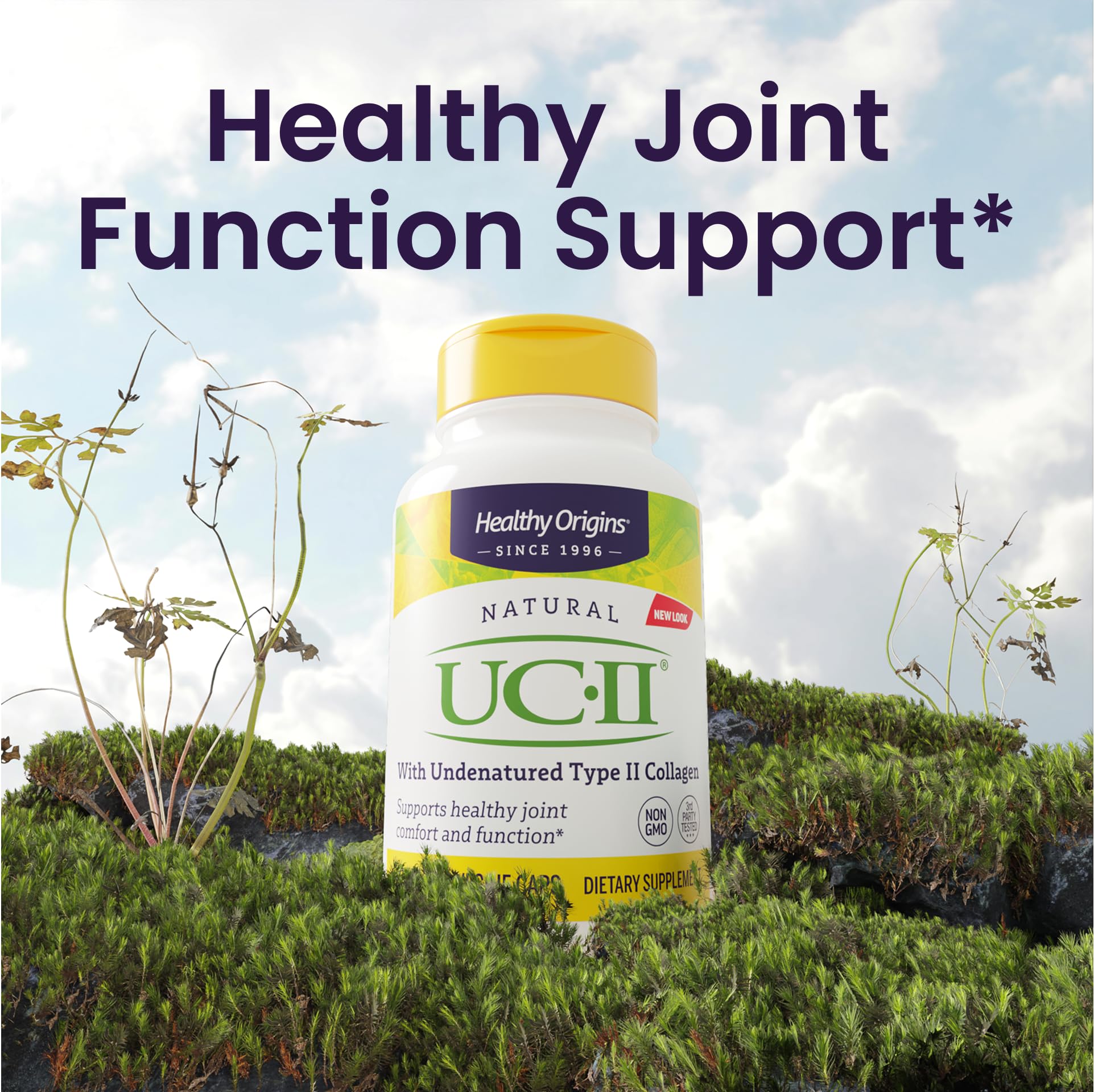 Healthy Origins UC-II 40 mg, 120 Veggie Capsules - Featuring Clinically Studied Undenatured Type II Collagen - Supports Joint Comfort, Mobility & Flexibility