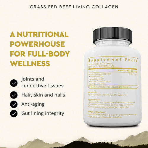 Ancestral Supplements Grass Fed Beef Living Collagen Nutritional Powder Supplement, 3000mg, Promotes Healthier, Younger Looking Skin, Hair