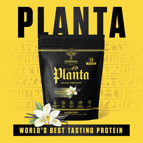Ambrosia Plant Based Protein Powder 20g | Clean Vegan Pea Protein Powder | Gluten & Dairy Free, Keto Friendly, No Added Sugar | 14 Servings | Vanilla Ambrosia buy supplements Au