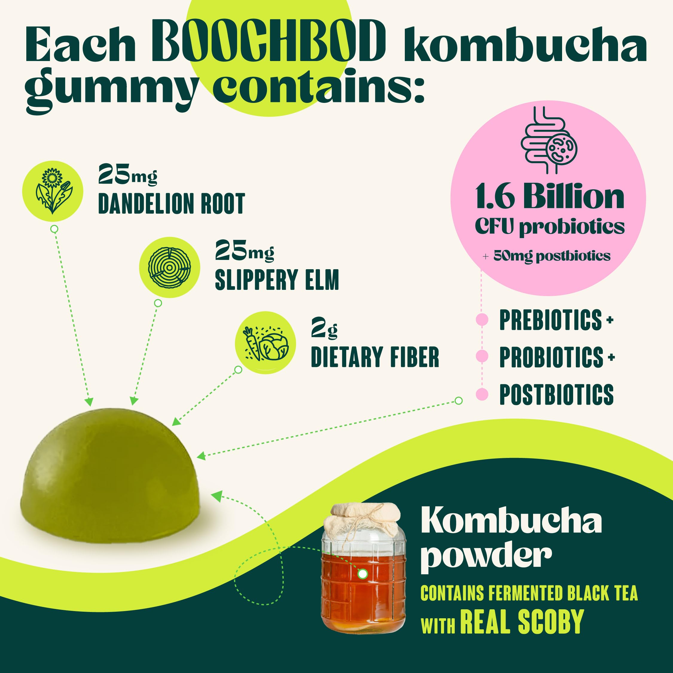 BoochBod - Probiotic Kombucha Gummy - Prebiotics, Probiotics, Postbiotics, Fiber Supplement, Slippery Elm, Dandelion Root, for Bloating, Gut Health