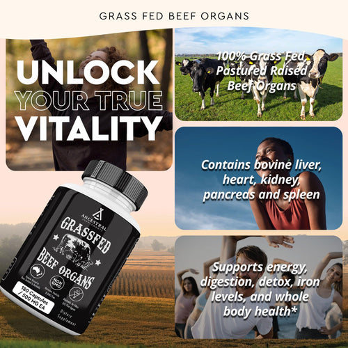 Ancestral Supplements Grass Fed Beef Organ Supplement, Supports Whole Body Wellness with Proprietary Blend of Liver, Heart, Kidney, Pancreas, Spleen, Freeze-Dried Beef, Non-GMO, 180 Capsules Ancestral SupplementsBuy Supplements Australia