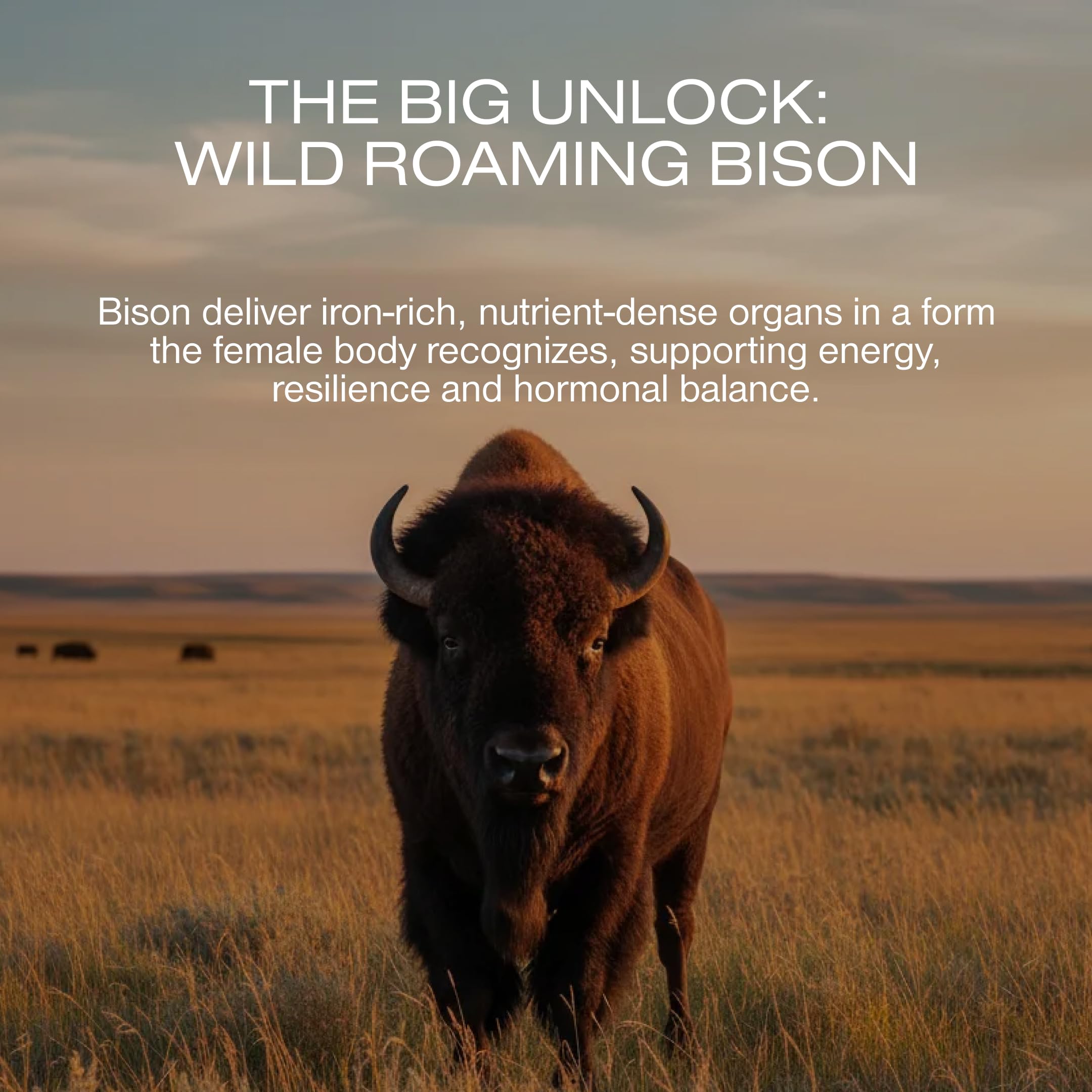 HUMAN NATURE Vital Woman Grass Fed Bison Organ Supplements for Women in Every Stage of Life, Multivitamin for Women with Iron and Effera Lactoferrin HUMAN NATUREBuy Supplements Australia