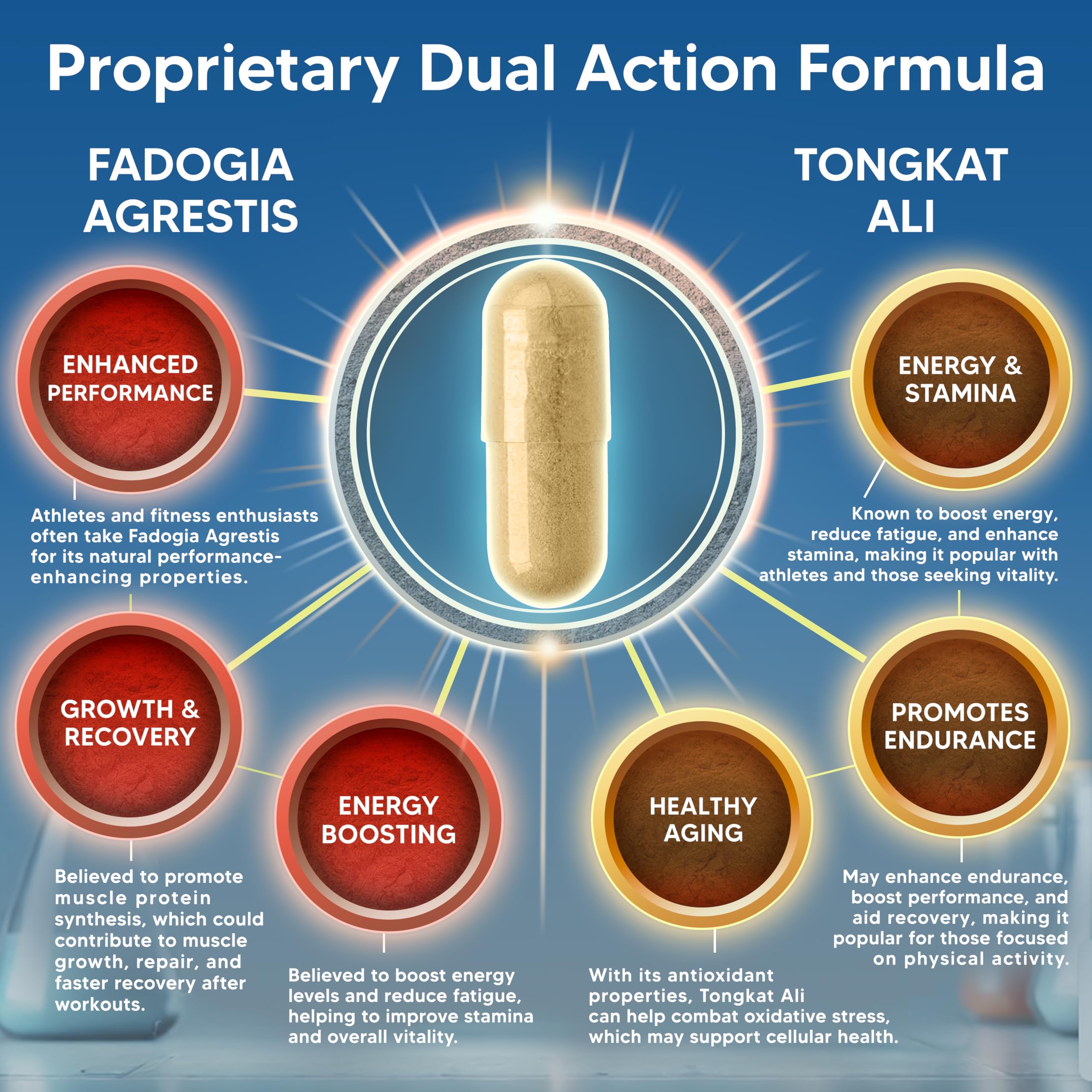 aSquared Nutrition Fadogia Agrestis 1000mg & Ali 400mg - 120 Capsules - Fadogia Agrestis Extract Supplement and Powder Complex Pills