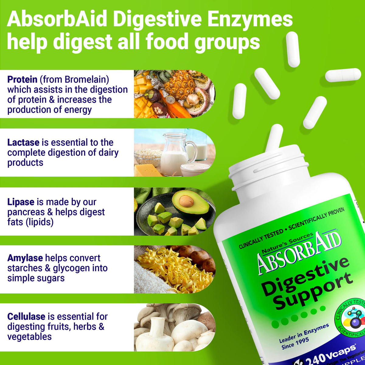 AbsorbAid Digestive Enzymes 240 vCaps, Proven to Increase Vital Nutrient Absorption by up to 71% - FENGGESTORE20