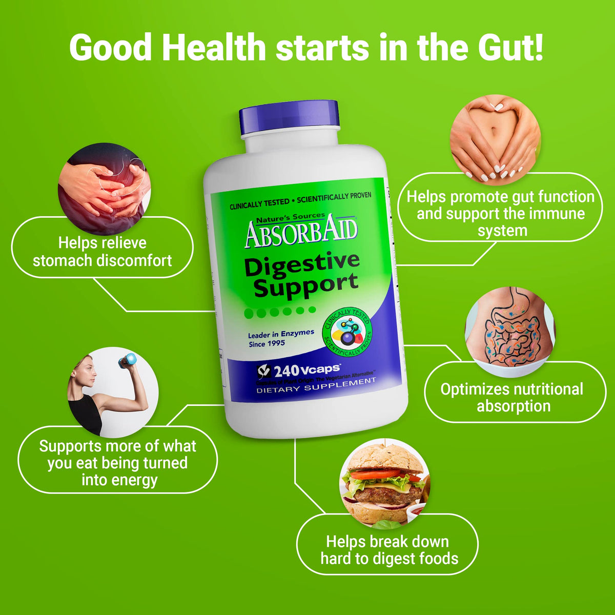 AbsorbAid Digestive Enzymes 240 vCaps, Proven to Increase Vital Nutrient Absorption by up to 71% - FENGGESTORE20
