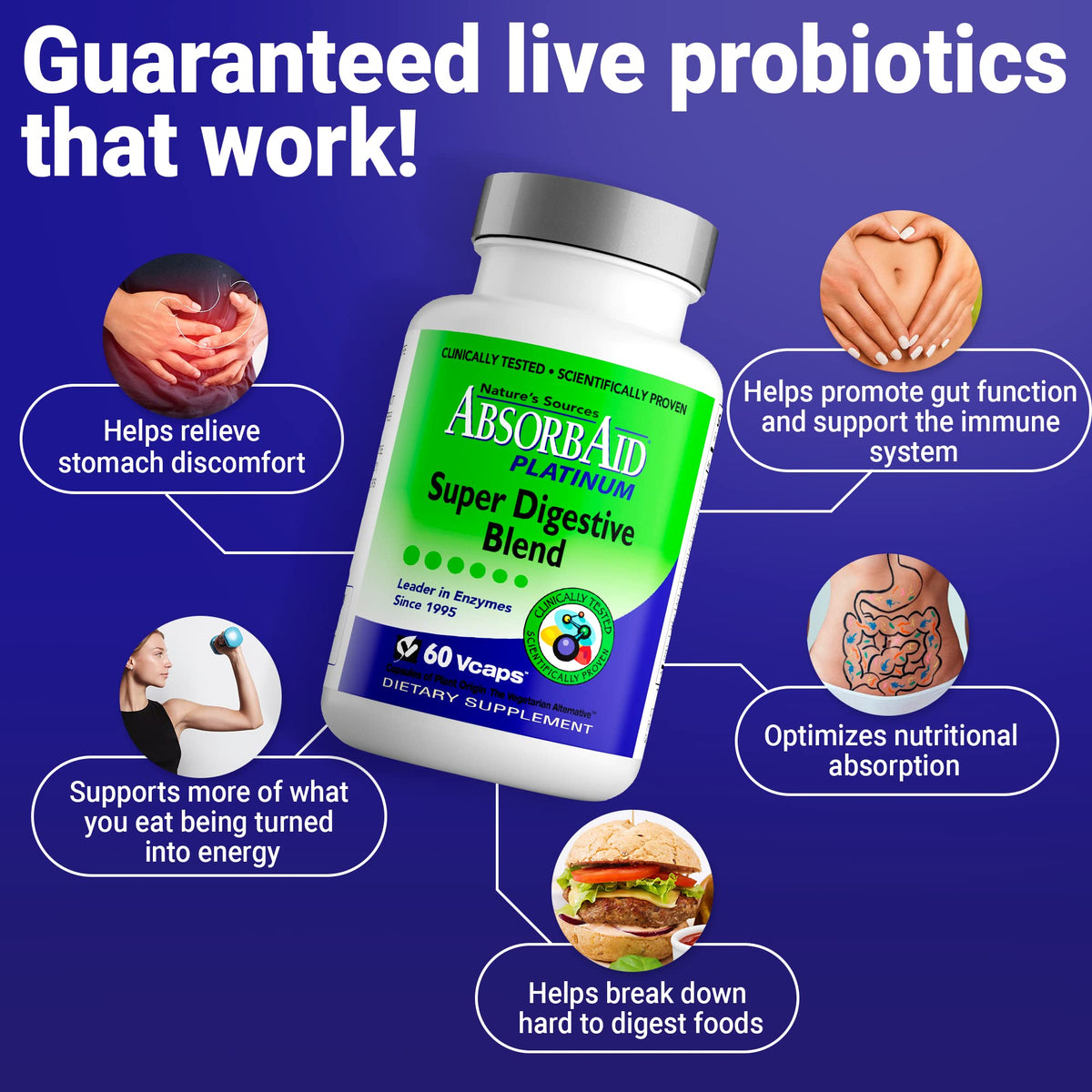 AbsorbAid Platinum Digestive Enzyme Support 60 vCaps, 12 Digestive Enzymes Plus 2 Probiotics for Maximum Relief - FENGGESTORE20