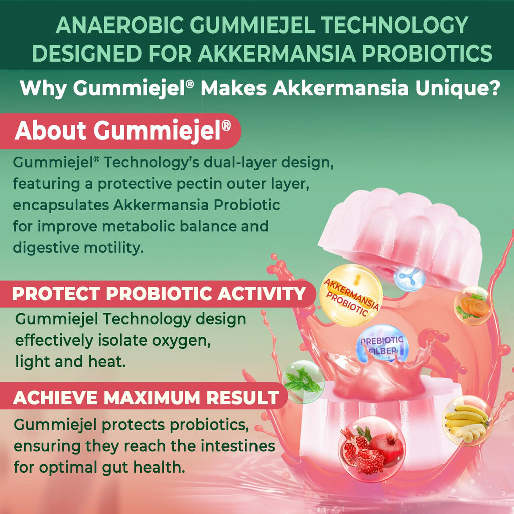 Akkermansia Probiotics Gummies with Prebiotics Fiber, 300 Billion AFU Akkermansia Muciniphila, with Polyphenol Fruits, Resistant Starch - FENGGESTORE20