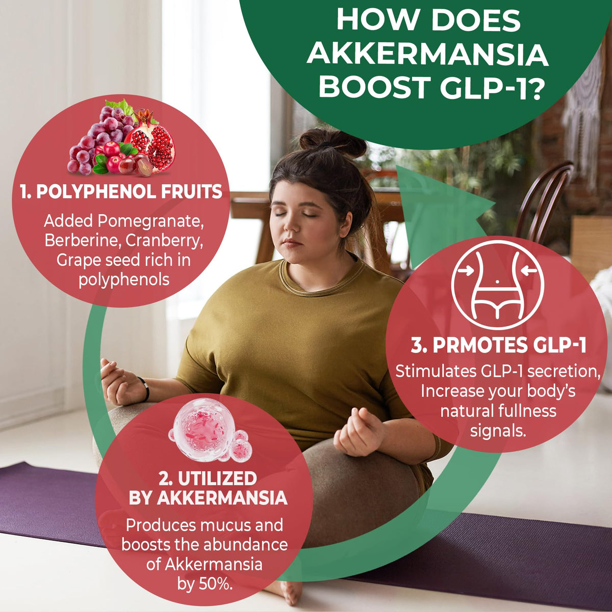 Akkermansia Probiotics Gummies with Prebiotics Fiber, 300 Billion AFU Akkermansia Muciniphila, with Polyphenol Fruits, Resistant Starch - FENGGESTORE20