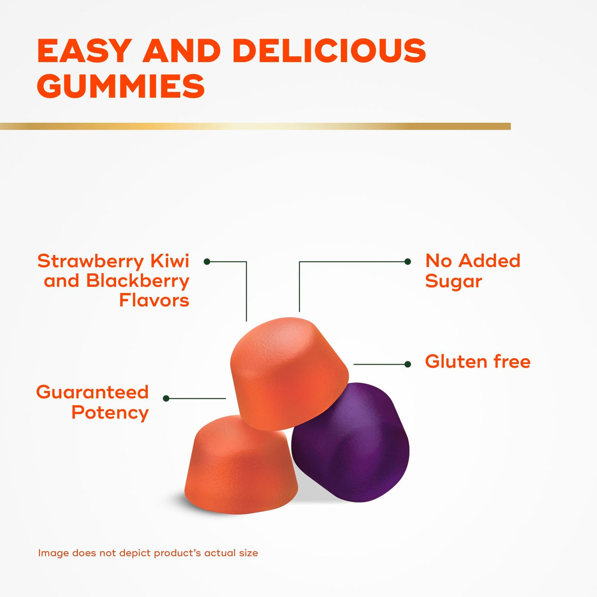 Align Probiotic, Probiotics + Fiber Gummies, Probiotics Help Relieve Occasional Bloating*, Fiber Helps Support a Healthy Digestive System - FENGGESTORE20
