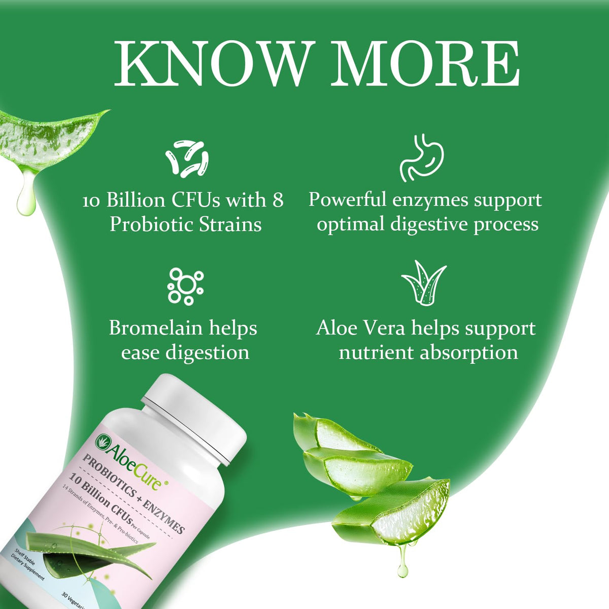 AloeCure Daily Probiotics 10 Billion CFU for Digestive Support 8 Strains, 6 Prebiotics & Enzymes - Digestive Supplement with Bromelain for Women & Men - FENGGESTORE20