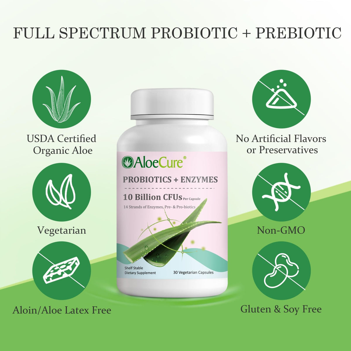 AloeCure Daily Probiotics 10 Billion CFU for Digestive Support 8 Strains, 6 Prebiotics & Enzymes - Digestive Supplement with Bromelain for Women & Men - FENGGESTORE20