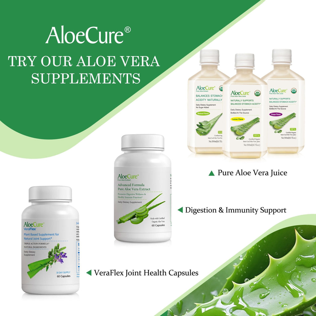 AloeCure Daily Probiotics 10 Billion CFU for Digestive Support 8 Strains, 6 Prebiotics & Enzymes - Digestive Supplement with Bromelain for Women & Men - FENGGESTORE20