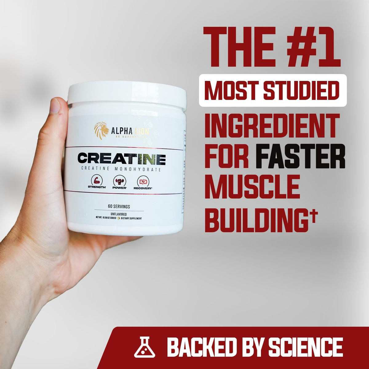 ALPHA LION Creatine Monohydrate Powder, 5000mg Per Serving (5g), Supports Muscle Strength, Power, Athletic Performance, Pure Creatina Monohydrata - FENGGESTORE20