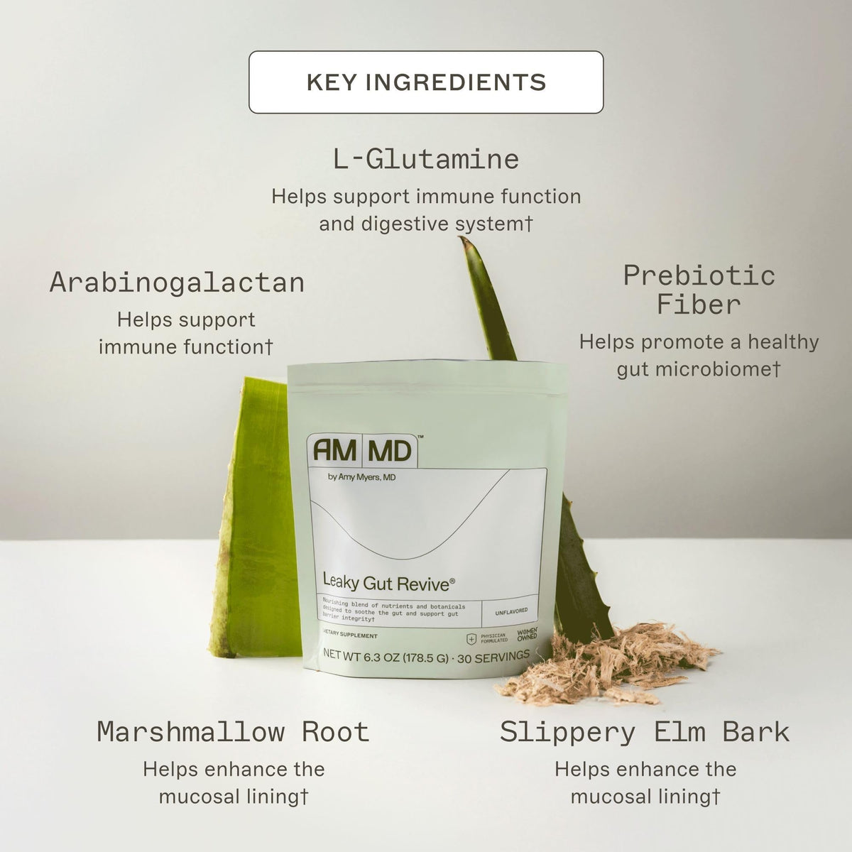 Amy Myers MD Leaky Gut Revive - Gluten-Free & Non-Dairy - Botanical Blend for Healthy Gut Support - GI Health Support with Prebiotic Fiber - FENGGESTORE20