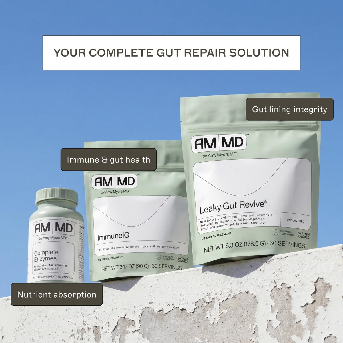 Amy Myers MD Leaky Gut Revive - Gluten-Free & Non-Dairy - Botanical Blend for Healthy Gut Support - GI Health Support with Prebiotic Fiber - FENGGESTORE20