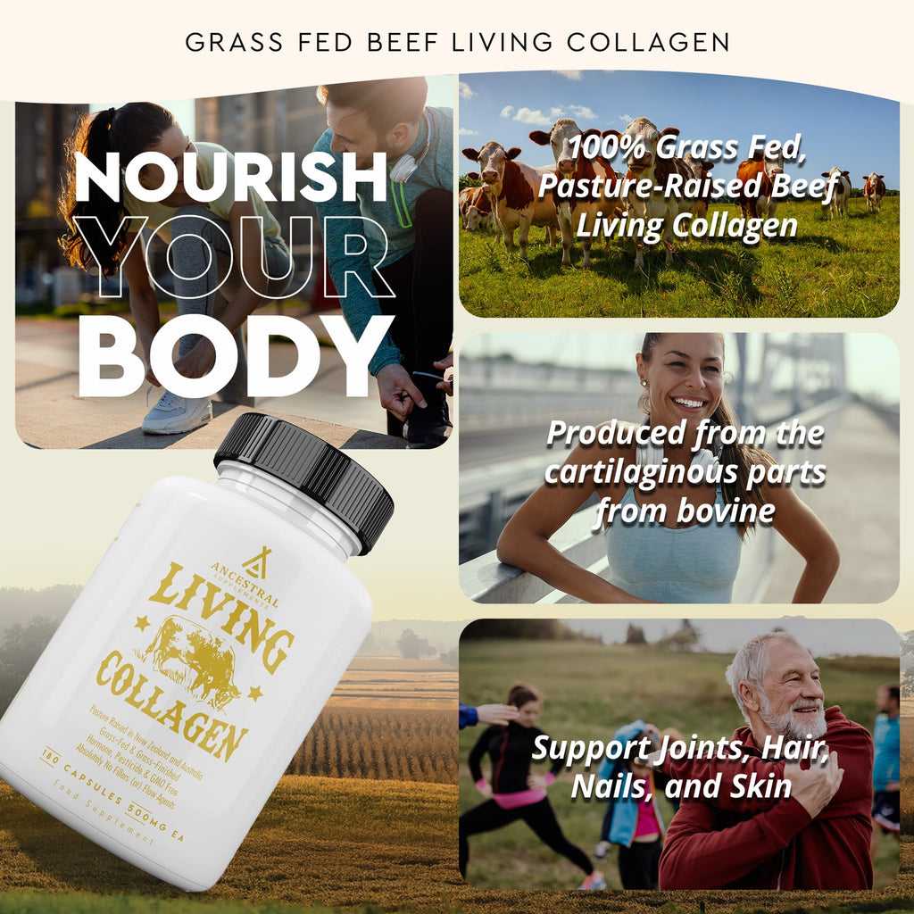 Ancestral Supplements Grass Fed Beef Living Collagen Nutritional Powder Supplement, 3000mg, Promotes Healthier, Younger Looking Skin, Hair - FENGGESTORE20