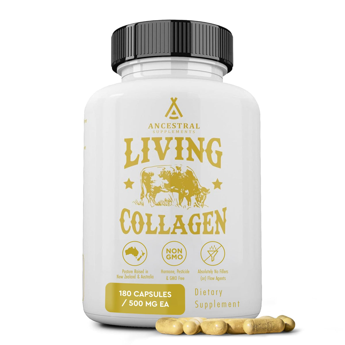 Ancestral Supplements Grass Fed Beef Living Collagen Nutritional Powder Supplement, 3000mg, Promotes Healthier, Younger Looking Skin, Hair - FENGGESTORE20