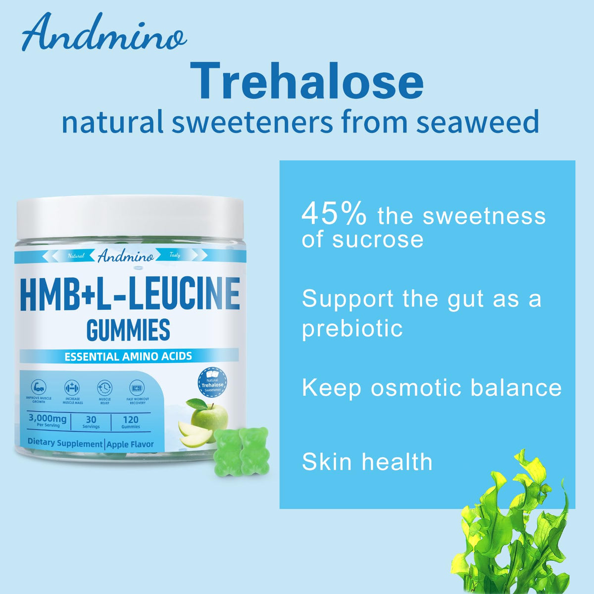 andmino HMB and L-Leucine Gummies, 3000mg, with Trehalose, for Muscle Growth, Muscle Relief and Workout Recovery, for Adults & Elder, Non-GMO - FENGGESTORE20
