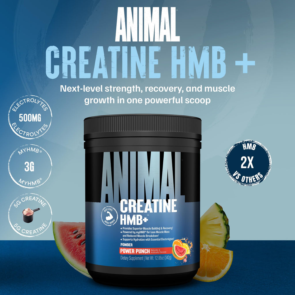 Animal Creatine HMB Powder – 3g myHMB + 5g Creatine with Electrolytes for Recovery & Daily Energy – Power Punch Flavor, 30 Servings - FENGGESTORE20