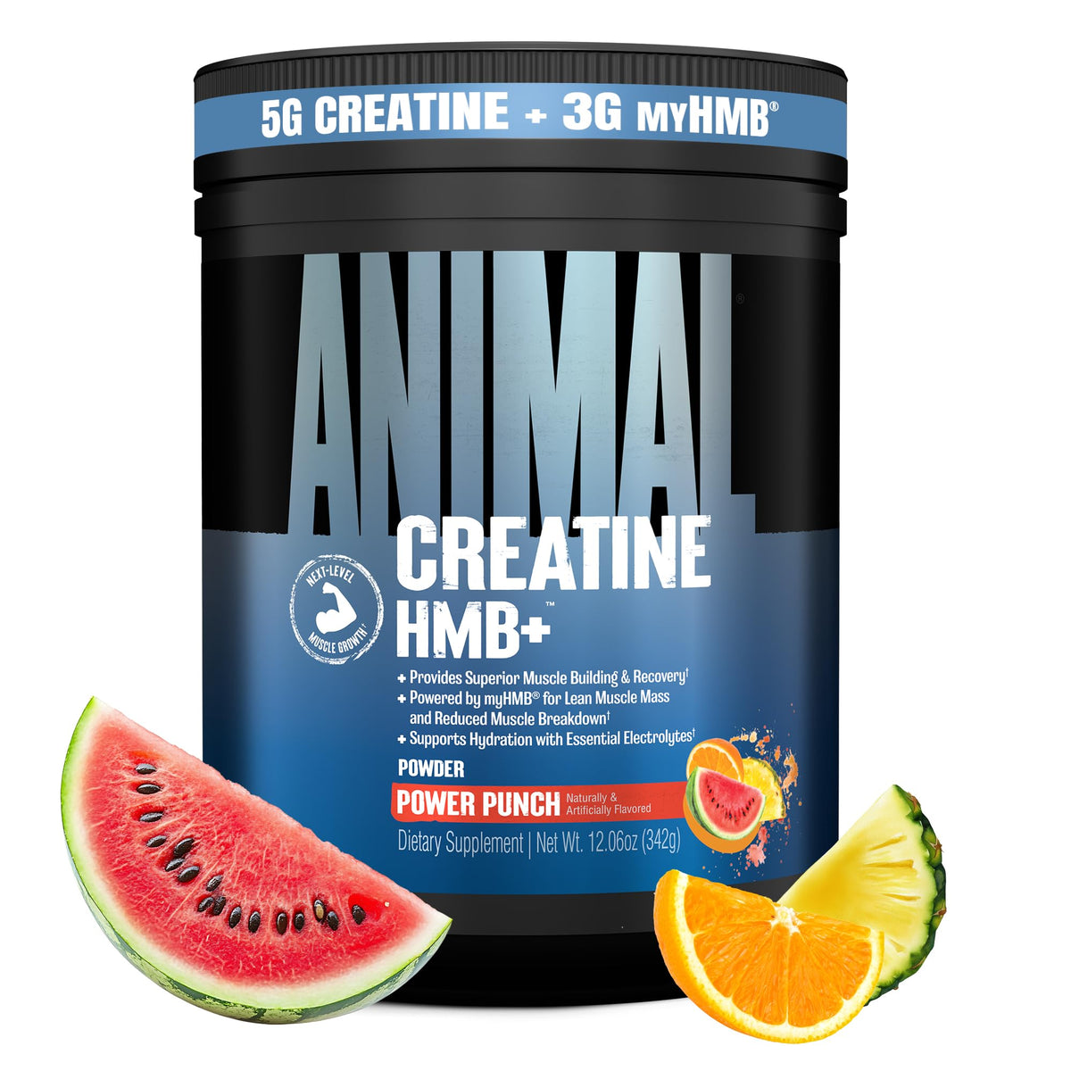 Animal Creatine HMB Powder – 3g myHMB + 5g Creatine with Electrolytes for Recovery & Daily Energy – Power Punch Flavor, 30 Servings - FENGGESTORE20