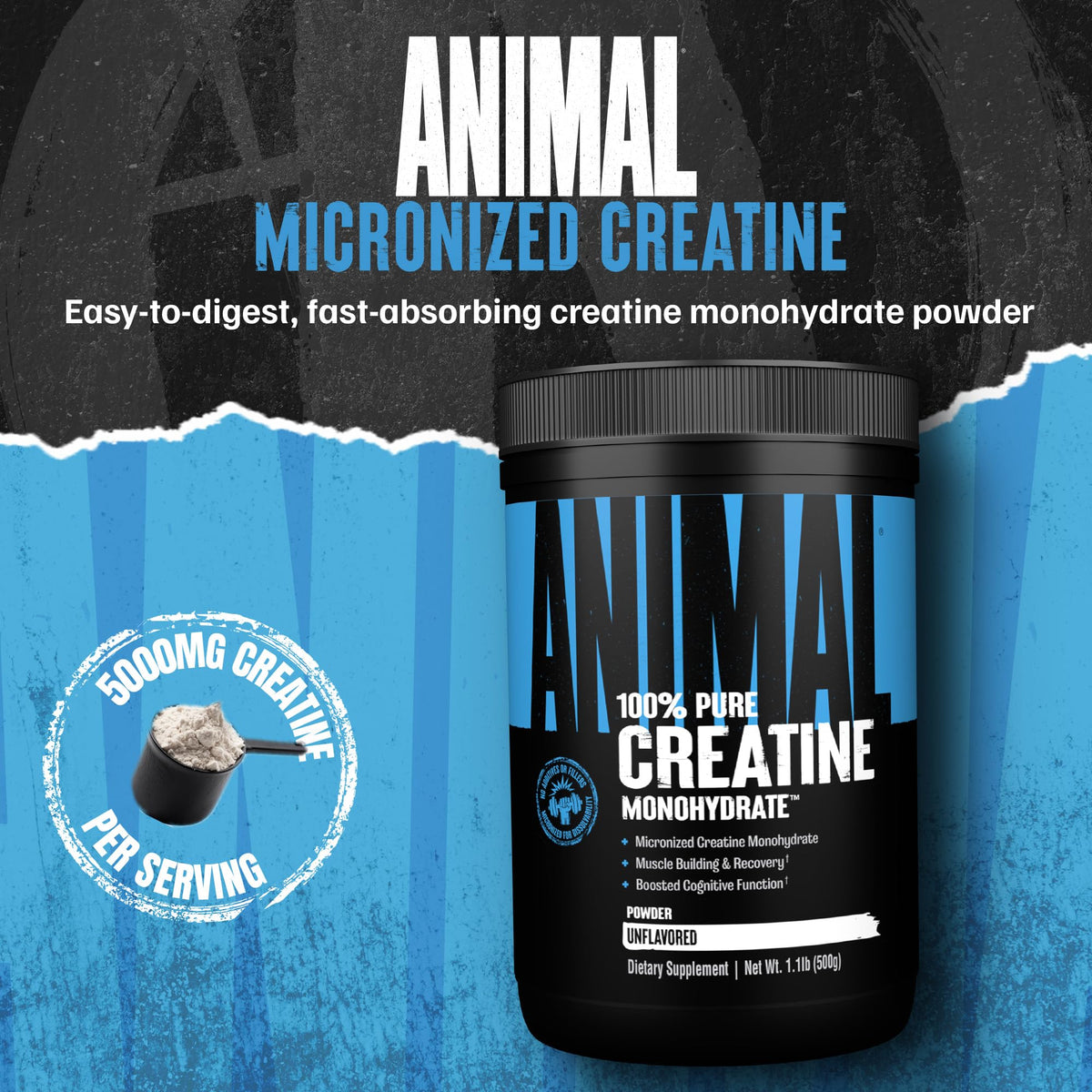 Animal Creatine Monohydrate Powder - Micronized Creatine for Women and Men, Supports Muscle Growth, Strength, Endurance, Recovery and ATP Production, - FENGGESTORE20