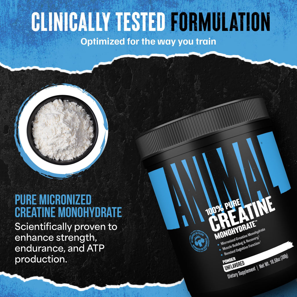 Animal Creatine Monohydrate Powder — Micronized for Muscle Recovery, Cellular Energy, and Daily Wellness — for Men and Women - FENGGESTORE20