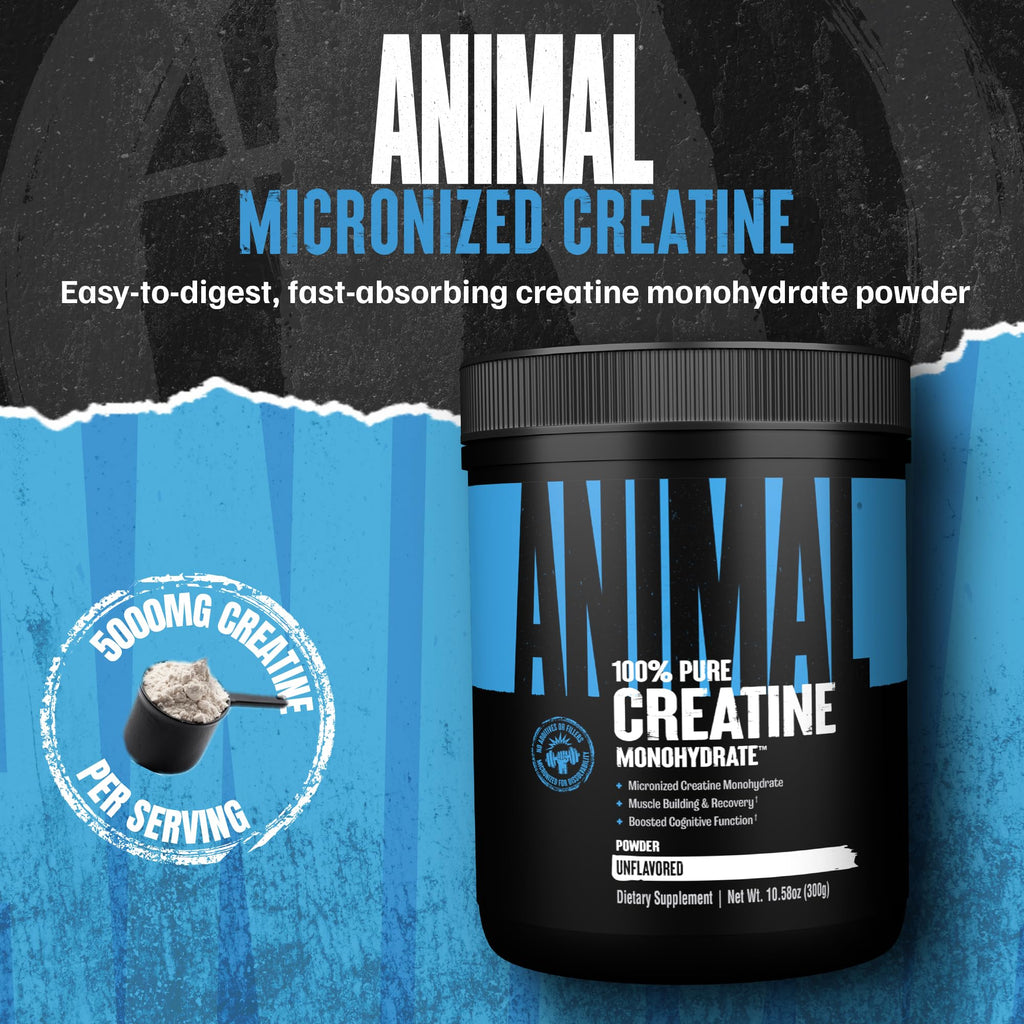 Animal Creatine Monohydrate Powder — Micronized for Muscle Recovery, Cellular Energy, and Daily Wellness — for Men and Women - FENGGESTORE20