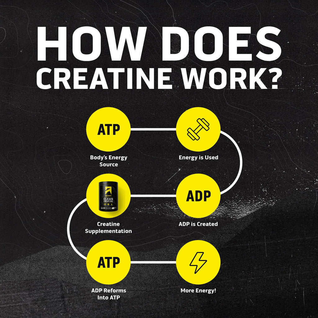 Ascent Clean Creatine Monohydrate Powder - 5G Per Serving, Creapure Creatine Supplement - Unflavored, 100 Servings - FENGGESTORE20